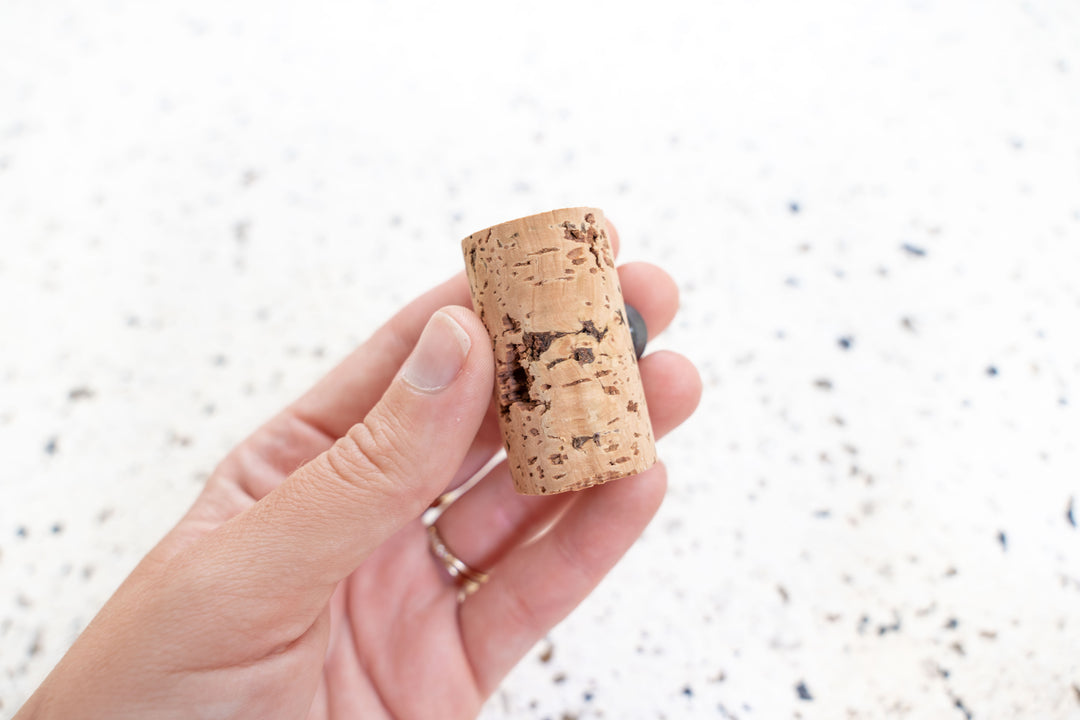 Wine Cork Magnet with Air Plant