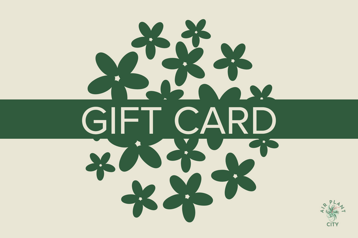 Electronic Air Plant City Gift Card