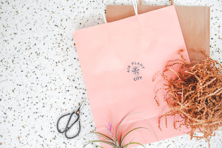 Branded Gift Bag, Brown Crinkle Paper Stuffing