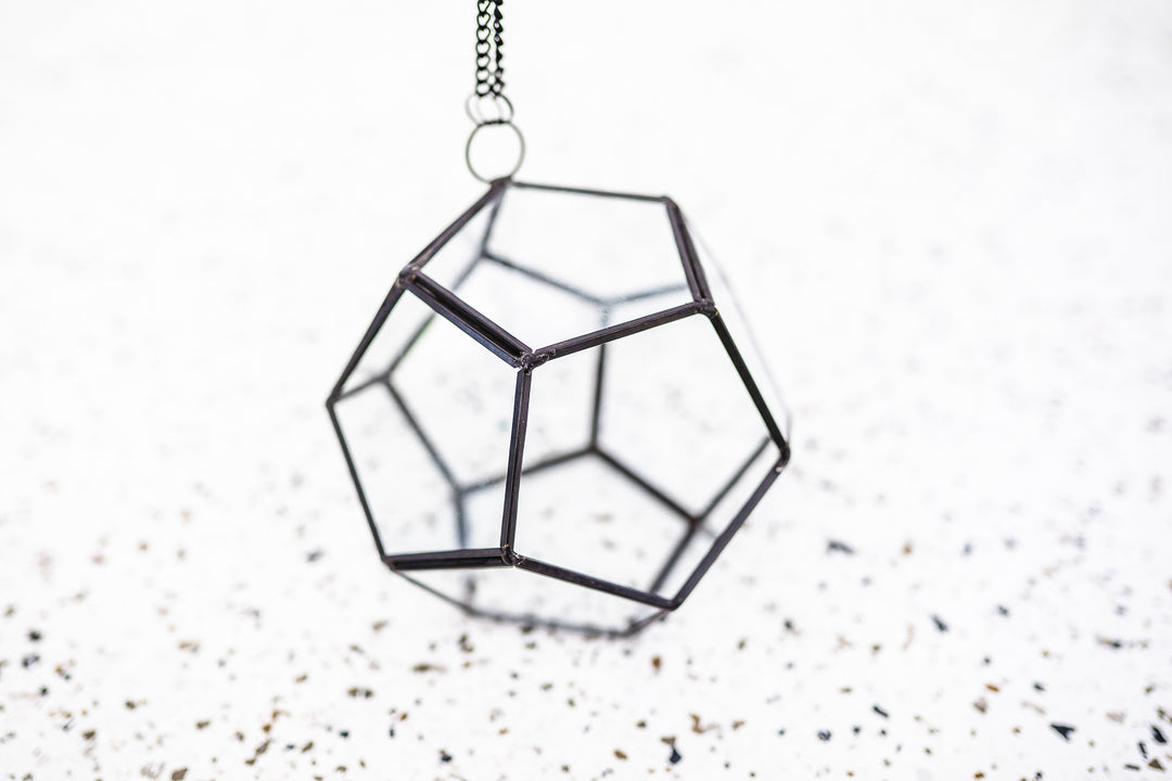 Multifaceted Glass Pentagon Terrarium with Black Metal Accents