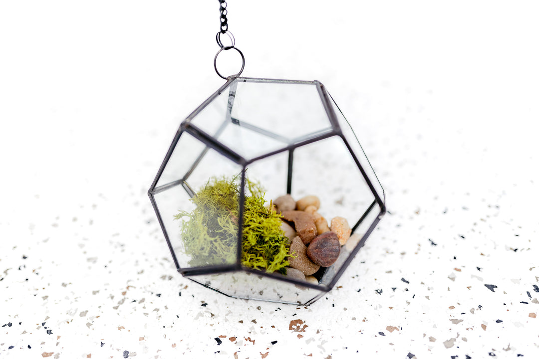 Glass Pentagon Terrarium with Moss and Rock Kit