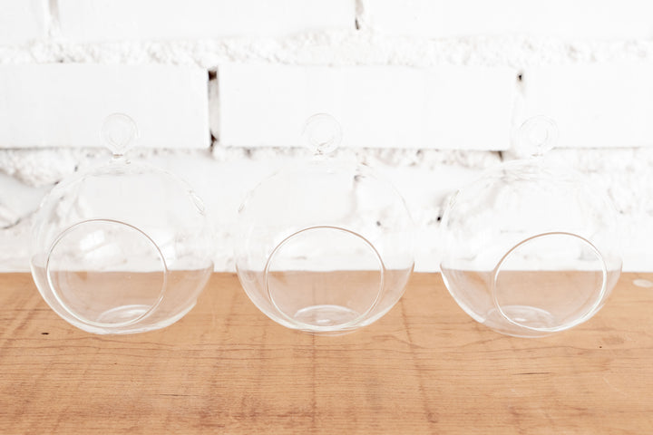 Trio of Flat Bottom Clear Glass Globe Terrariums with Loop for Hanging