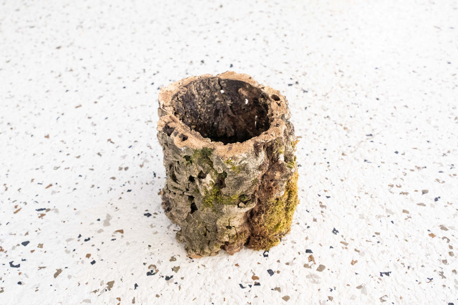 Natural Cork Bark Planter