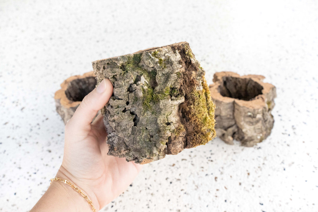 Natural Cork Bark Planter